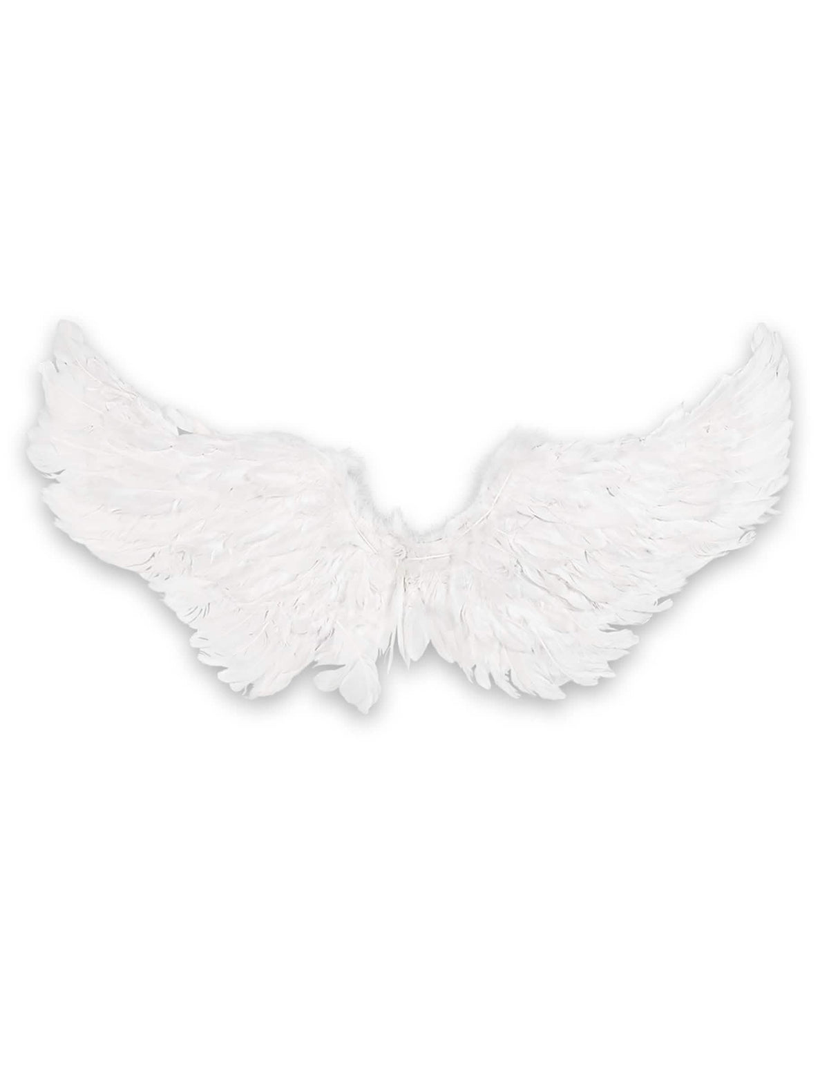 Vue de face des ailes d'anges pour adulte