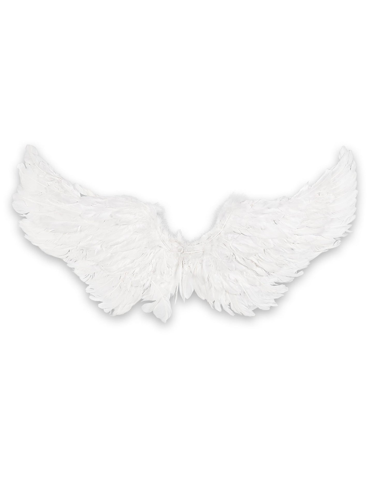 Vue de face des ailes d'anges pour adulte