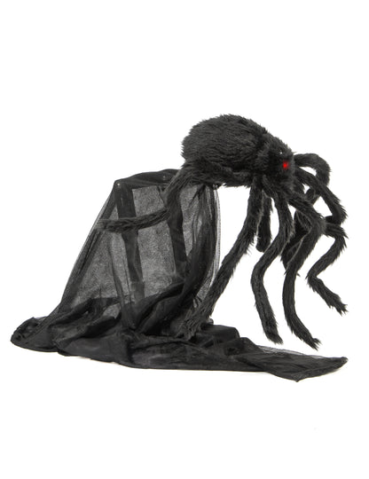 Vue de profil de l'araignée animée sauteuse d'Halloween