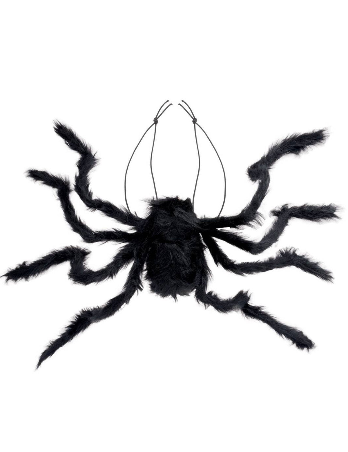 Détail des élastiques de fixation de l'araignée géante à porter sur le dos
