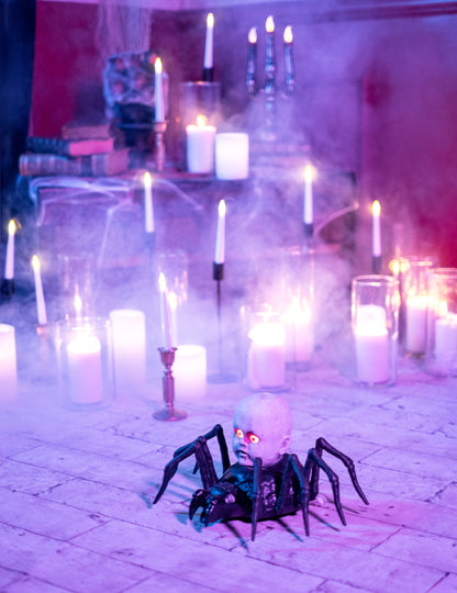 Nagy pók élénk és fényes kúszó babával 19 x 33 cm