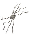 Détail des dimensions de l'araignée géante Halloween