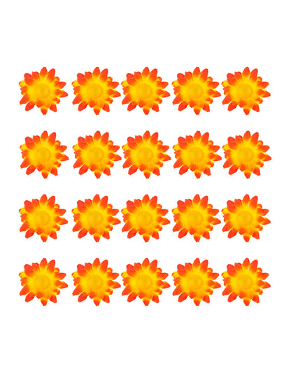 Vue d'ensemble du contenu de la boite de 20 fleurs marguerite jaune orangé