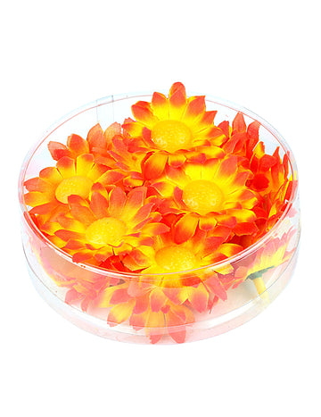 20 narancssárga-sárga százszorszép virág doboz