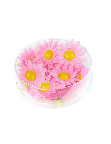 20 világos rózsaszín százszorszép virág doboz