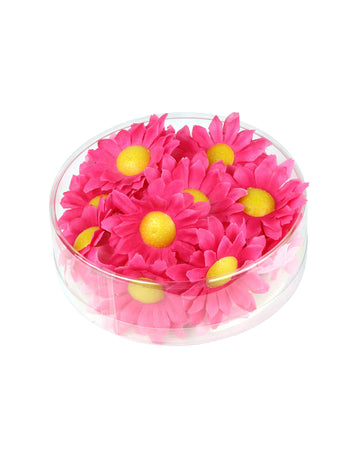 Doboz 20 rózsaszín százszorszép virágból