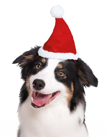 Karácsonyi sapka háziállatoknak