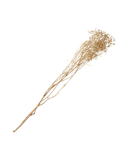 Csokor fehér szárított cigofilek 25 g - 80 cm