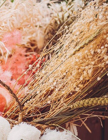 Csokor fehér szárított cigofilek 25 g - 80 cm