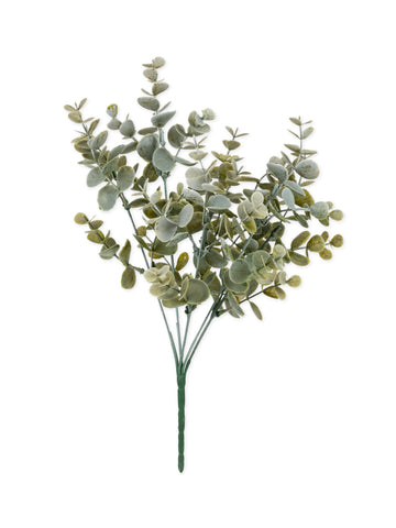 Bouquet de feuilles d'eucalyptus pour décoration végétale vert