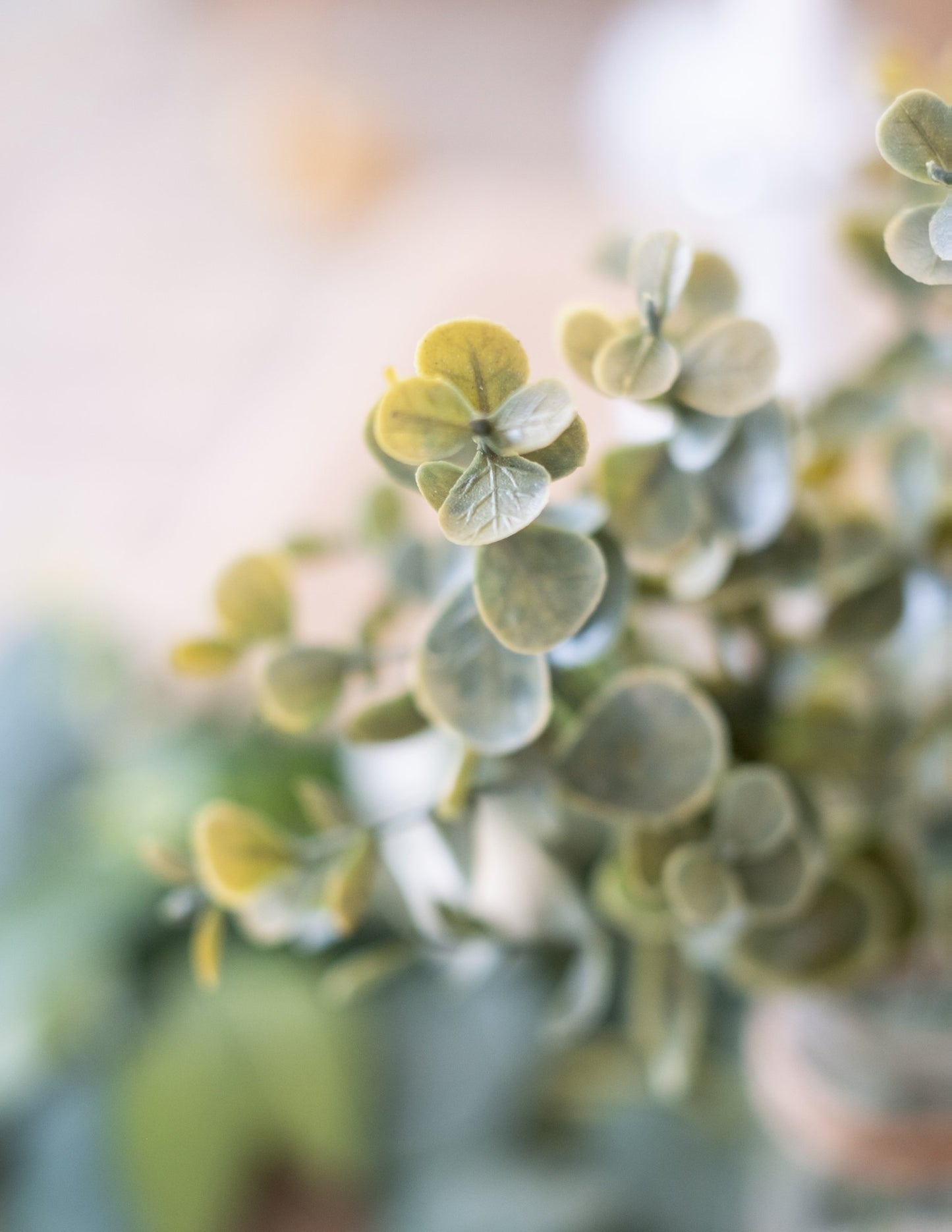 Zöld eukaliptusz levelekből álló csokor 35 cm növényi dekoráció