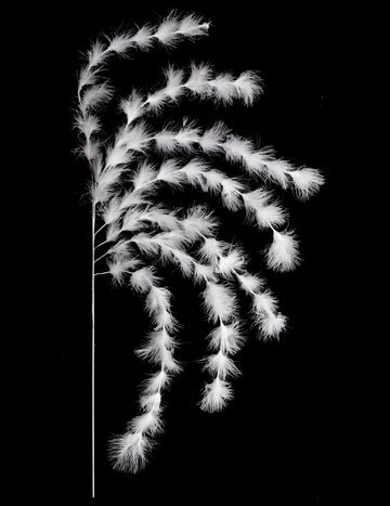 Elágazó 7 szál fehér toll 60 cm bohém hangulat