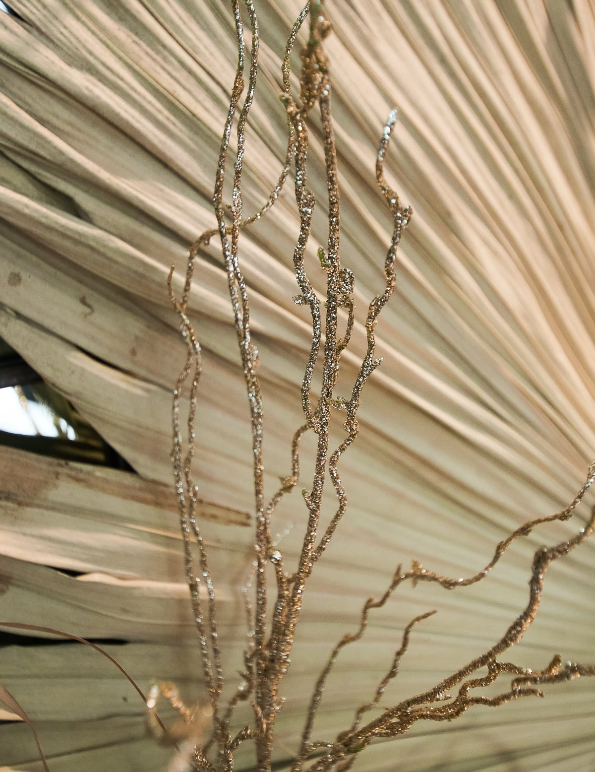 Gros plan sur les paillettes et sequins de la branche féerique pour décoration
