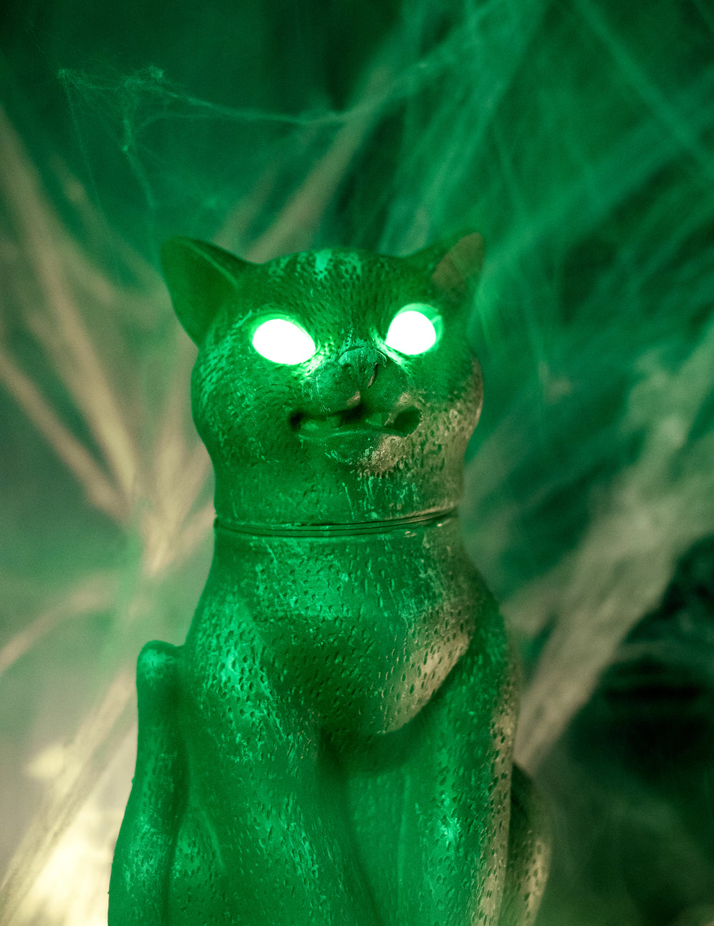Gros plan sur les yeux lumineux de la décoration chat noir aux yeux brillants sonore et lumineux