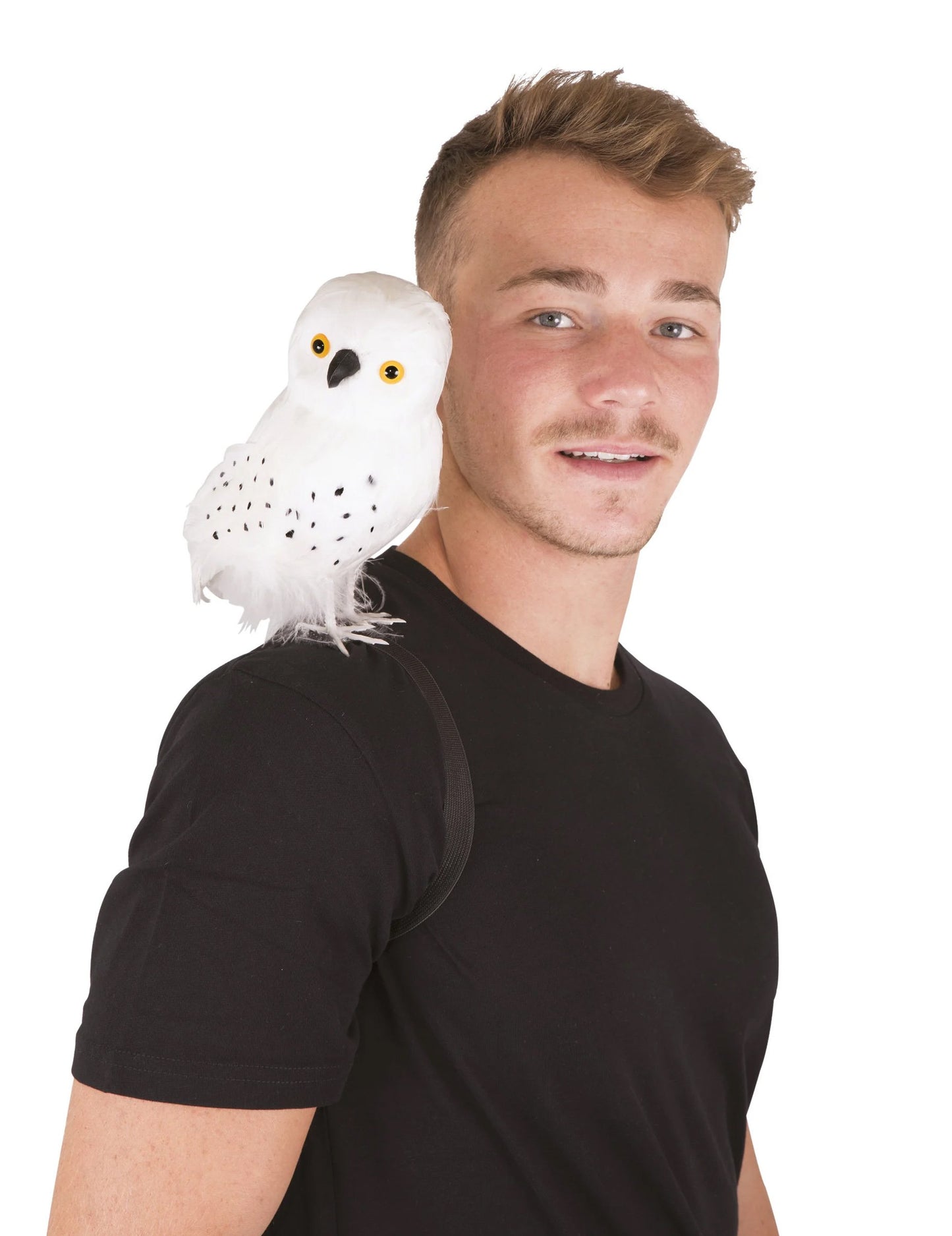 Sorcier fehér bagolya