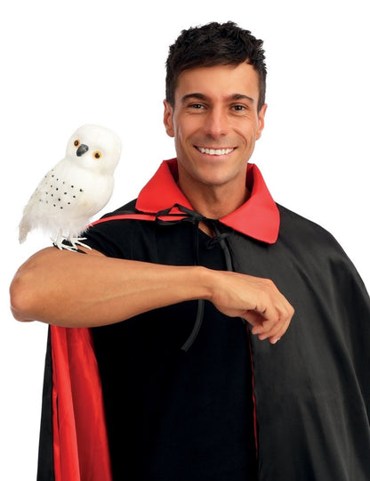 Sorcier fehér bagolya