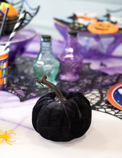 Fekete bársony tök 10 cm