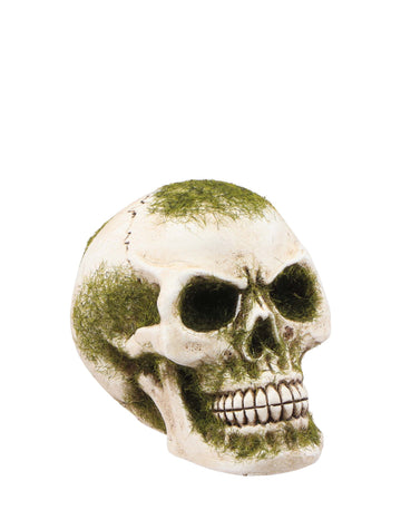 Koponya gyantás habbal, 7 cm