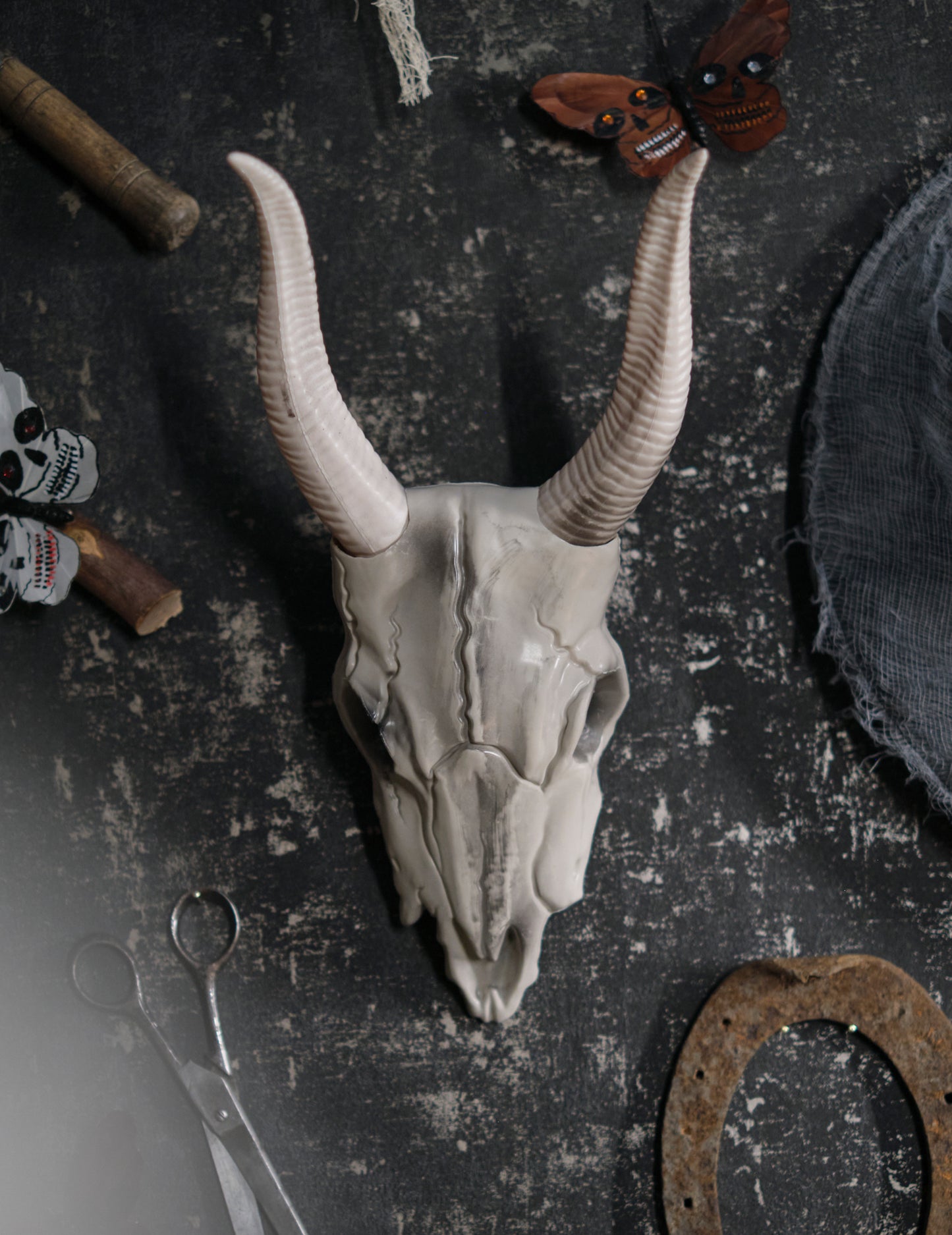 14 x 40 cm -es bivaly fej koponya