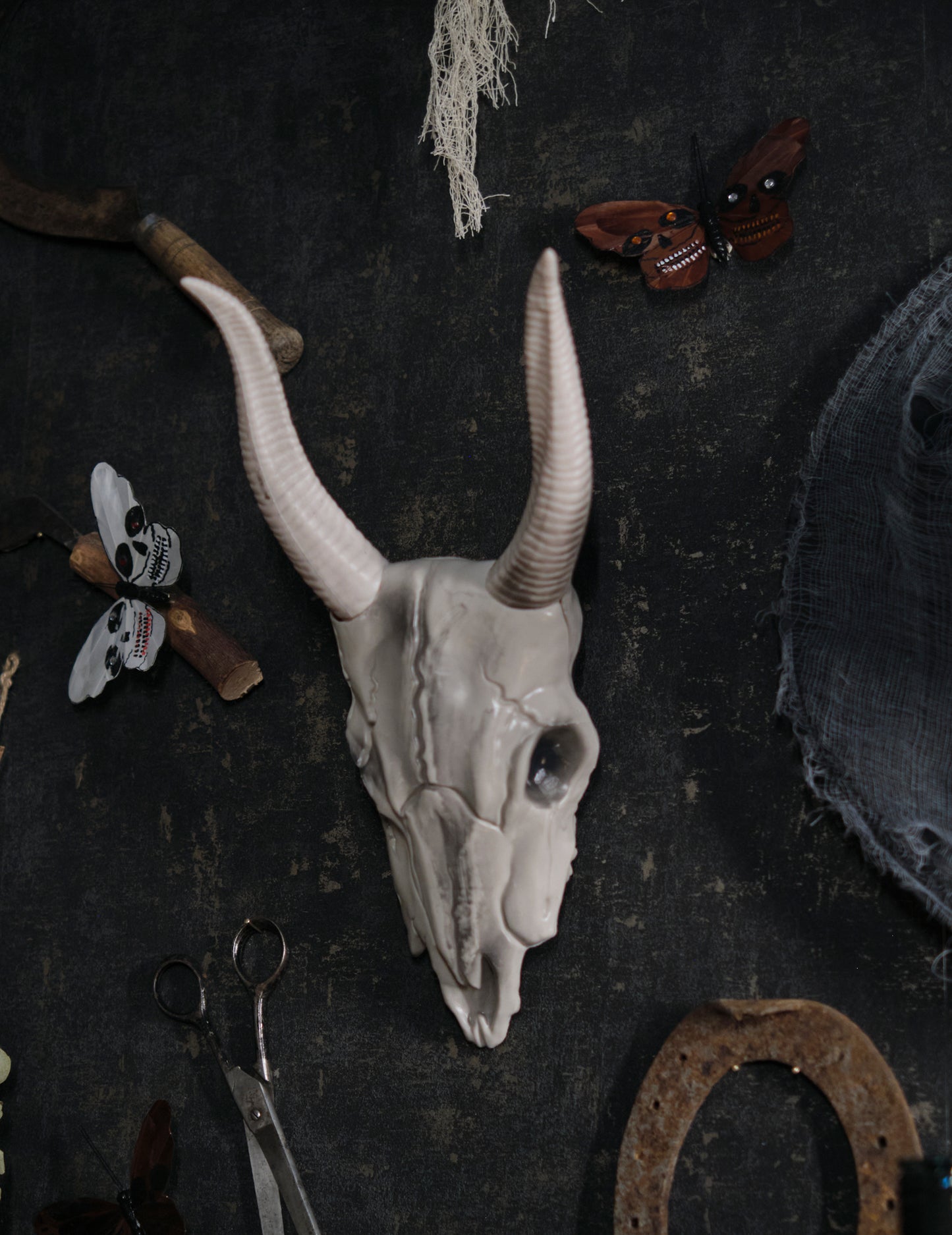 14 x 40 cm -es bivaly fej koponya