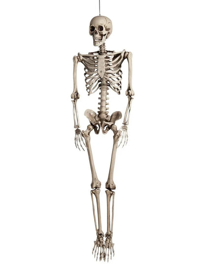Dekoráció az emberi tait csontváz akasztásához 160 cm