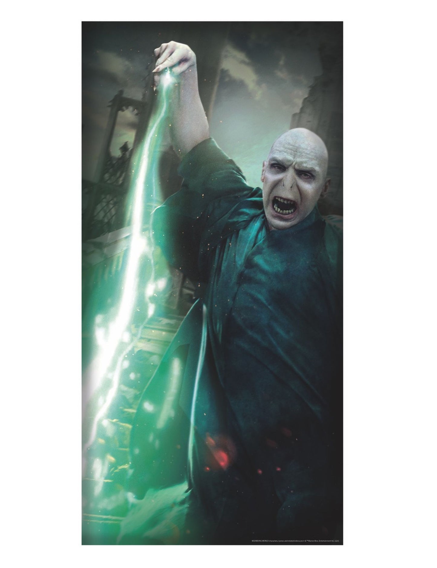 Voldemort Harry Potter ajtó dekoráció