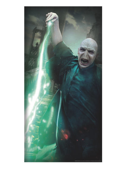 Voldemort Harry Potter ajtó dekoráció