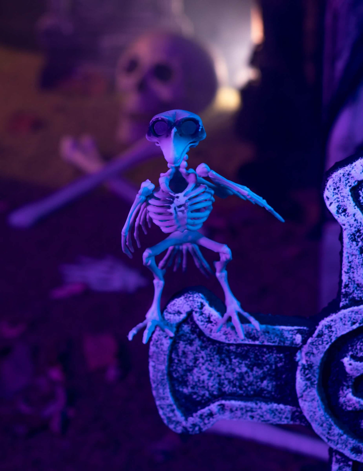 Corbeau csontváz dekoráció 19,5 cm Halloween