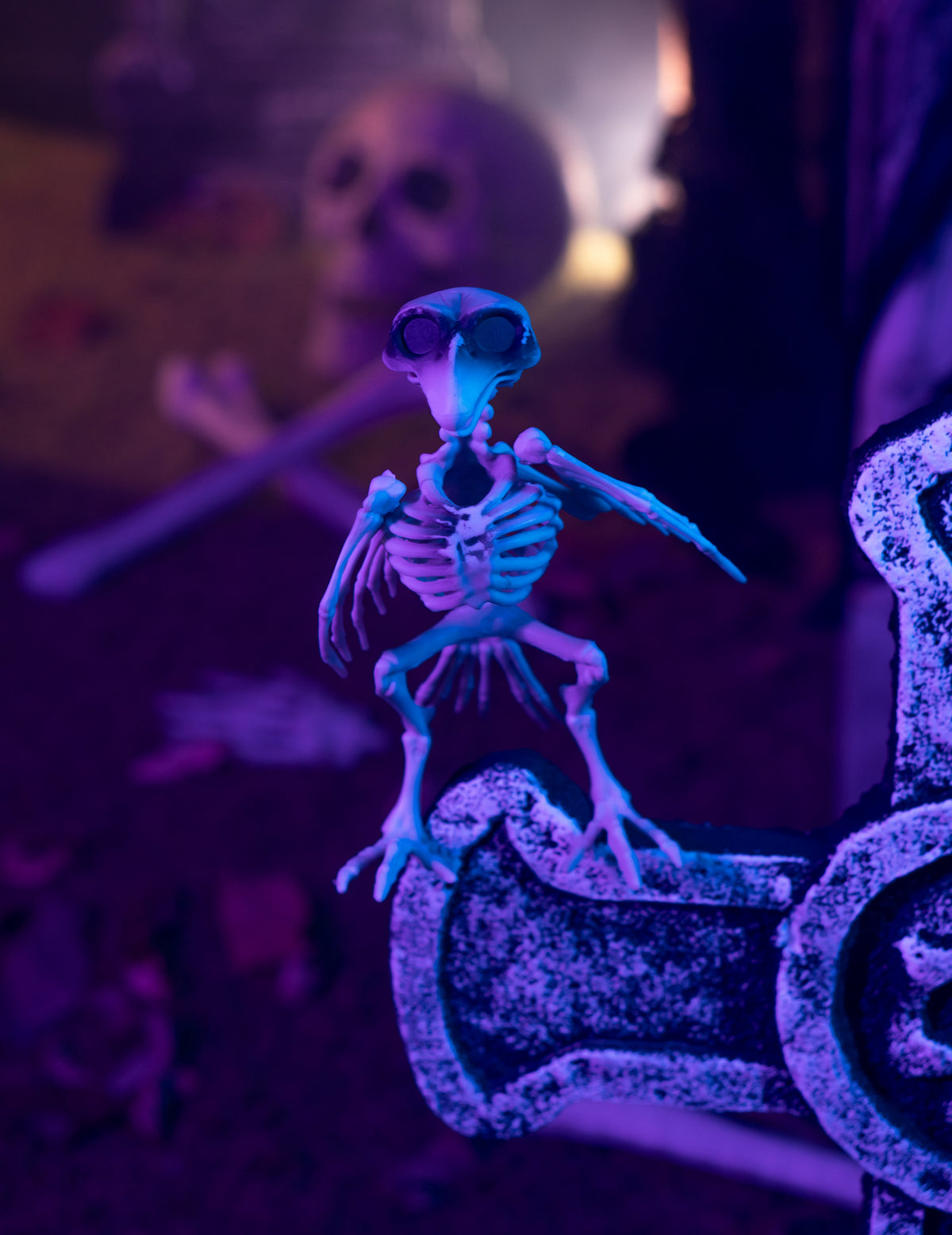 Corbeau csontváz dekoráció 19,5 cm Halloween