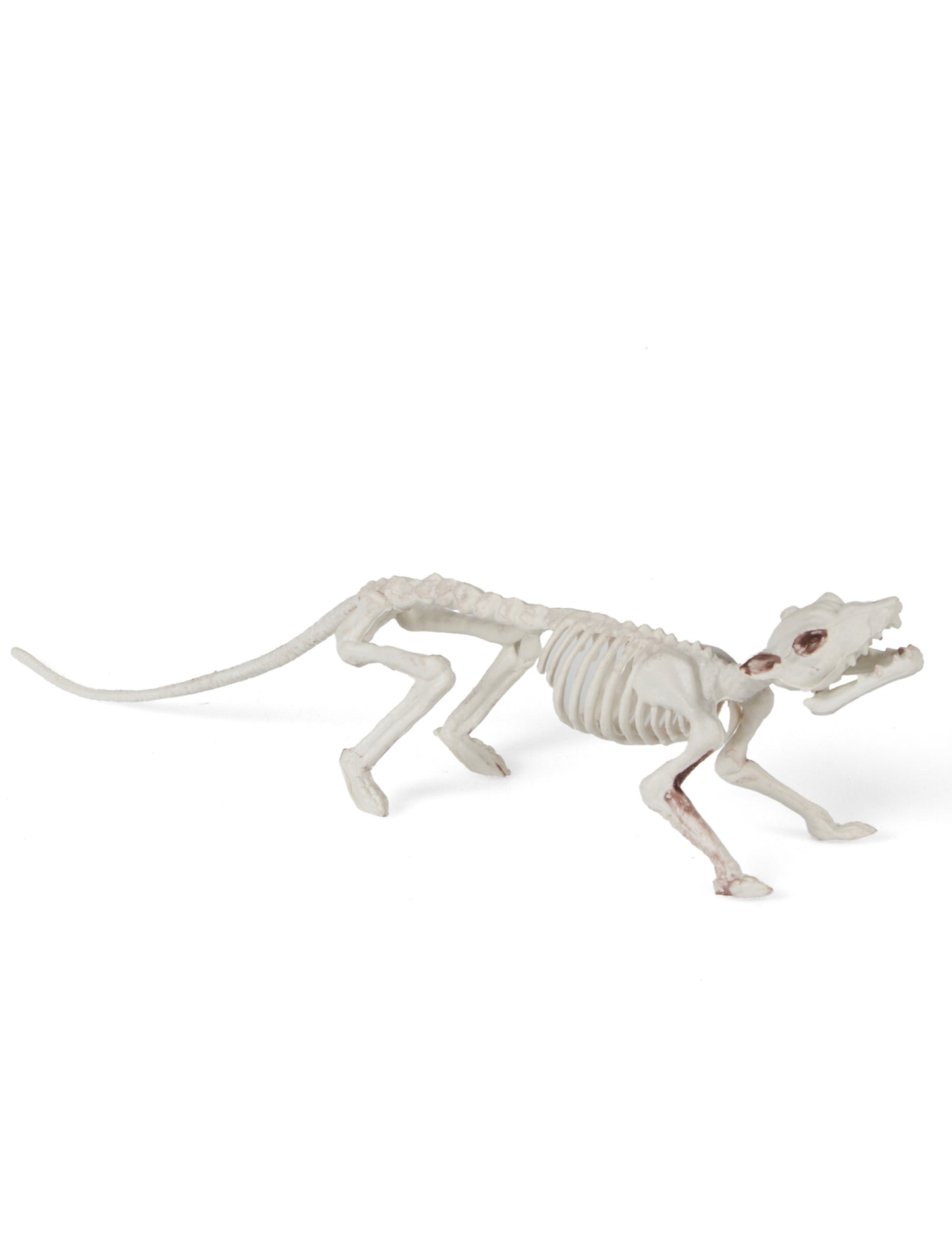 Patkány csontváz dekoráció 16 x 23 cm -es halloween