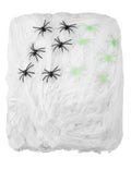Decoration / Animation Magie et Horreur