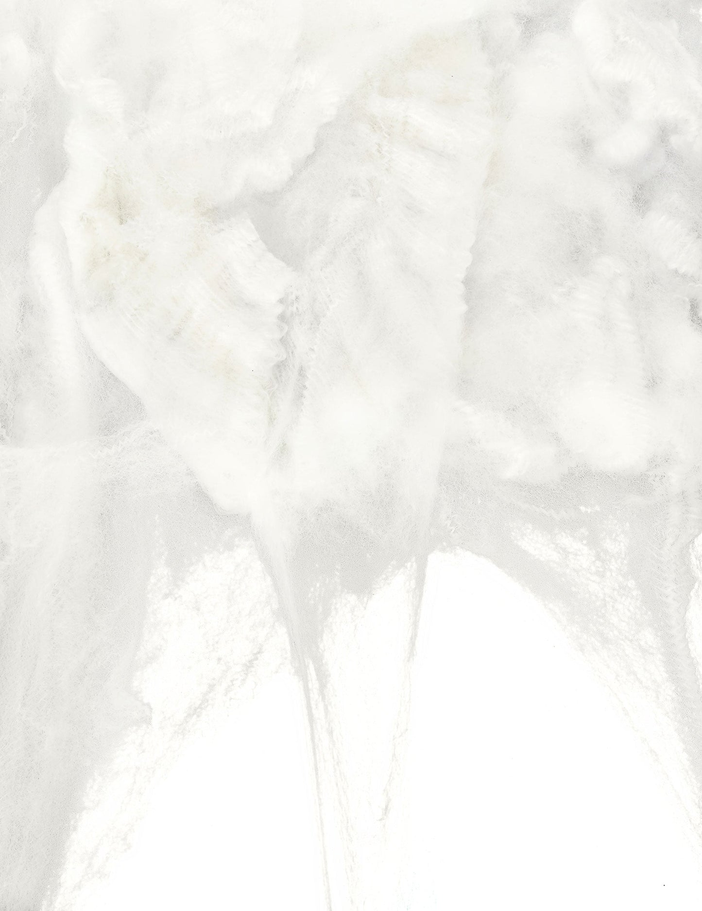 Gros plan sur la texture de la toile d'araignée pour Halloween