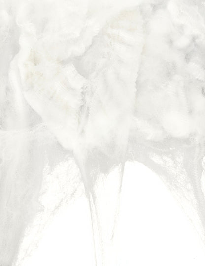 Gros plan sur la texture de la toile d'araignée pour Halloween
