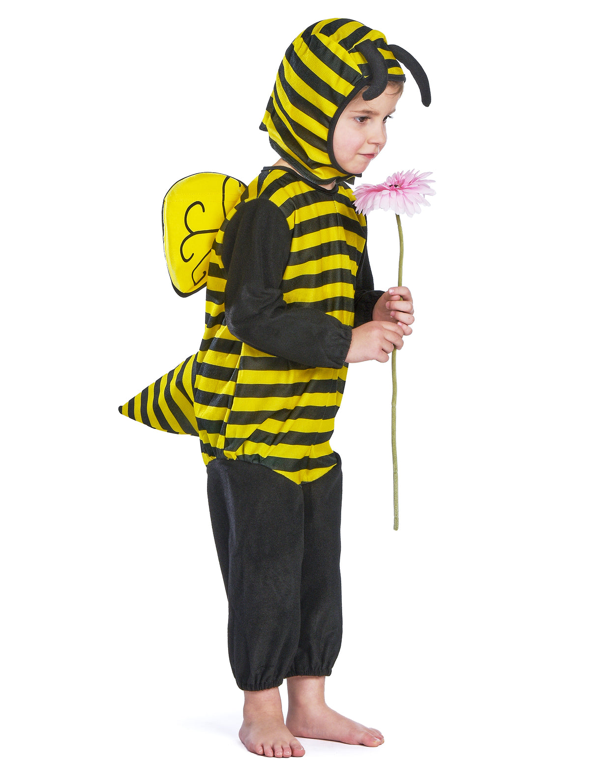 Vue de profil avec ailes et dard du déguisement abeille