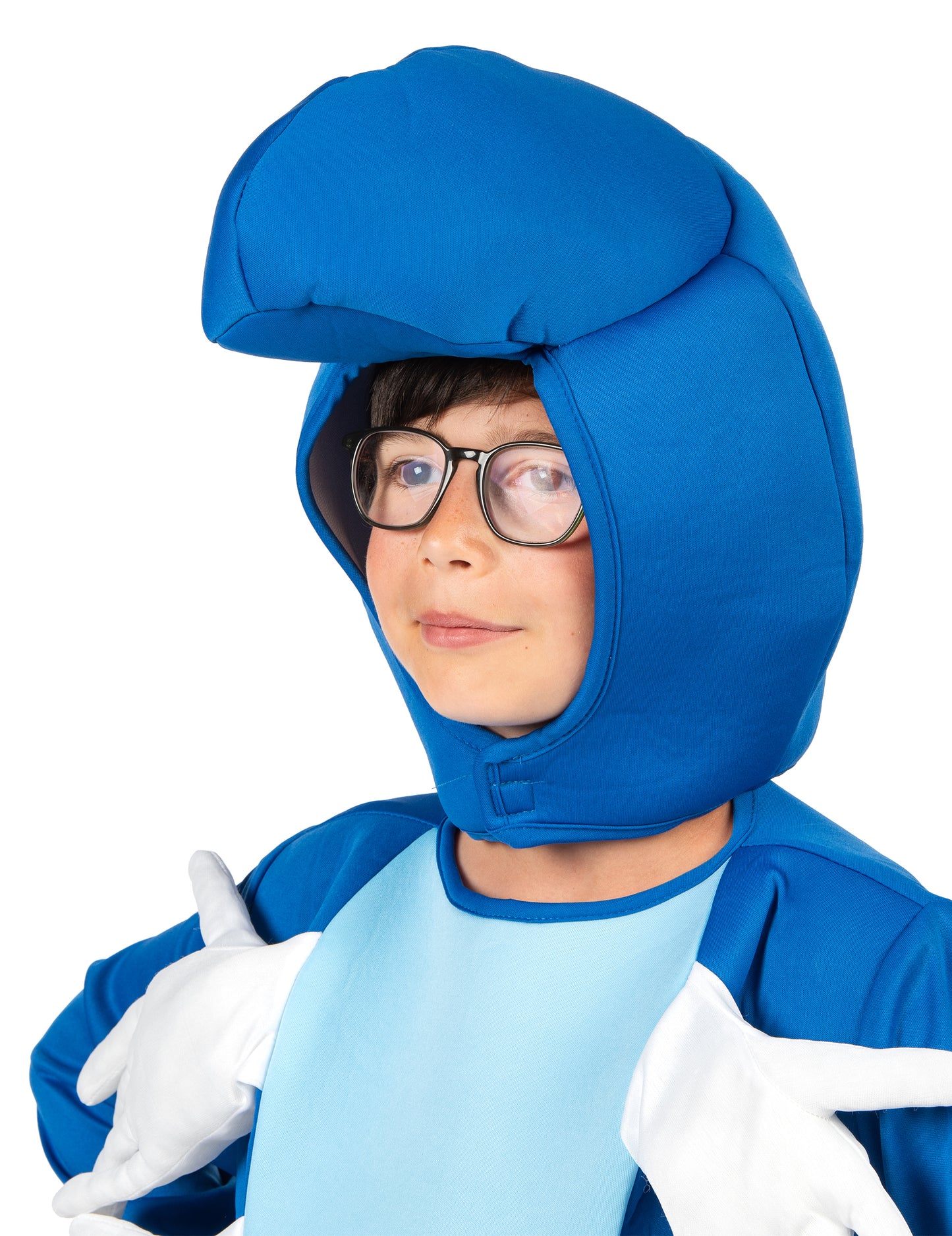 Gyermek kék hernyó jelmeze