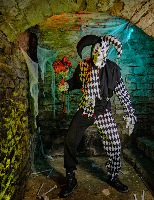 Mise en situation du déguisement clown Arlequin d'Halloween pour homme