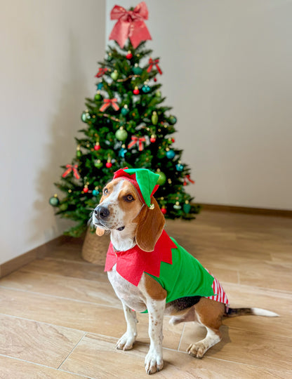 Karácsonyi manó jelmez kutyáknak