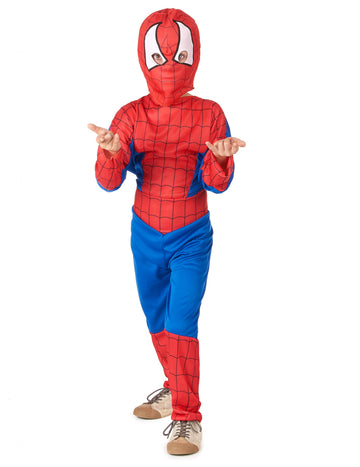 Fiú Spider férfi jelmez