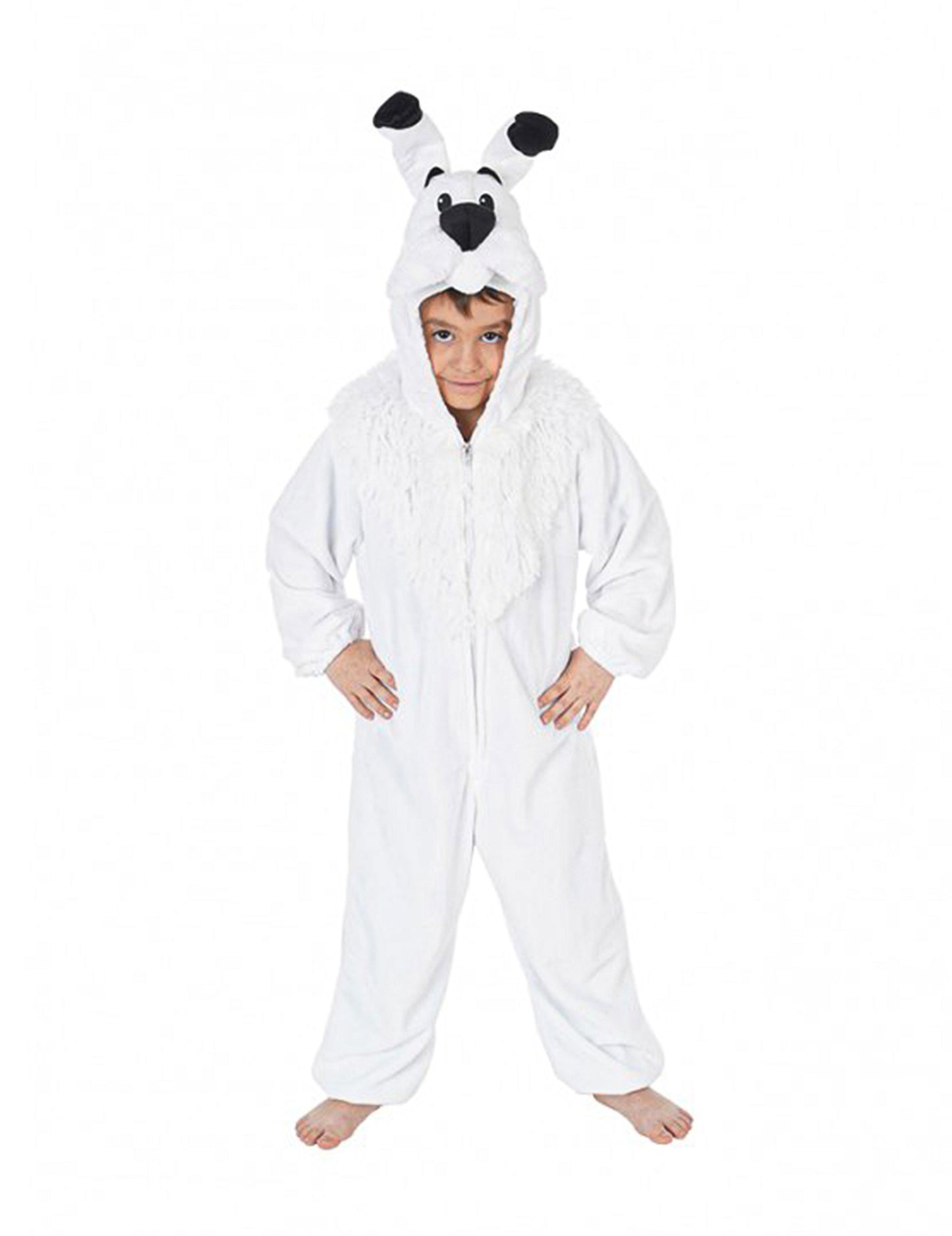 Vue de face du déguisement Idefix Astérix et Obélix™