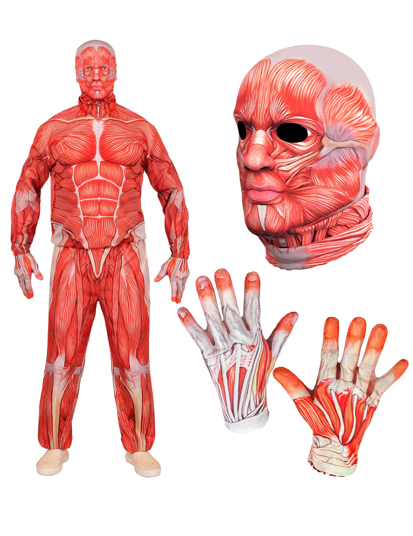 Teljes testű anatómiai felnőtt emberi jelmez