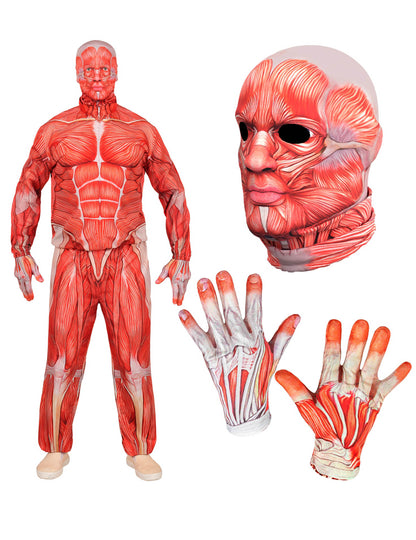 Teljes testű anatómiai felnőtt emberi jelmez