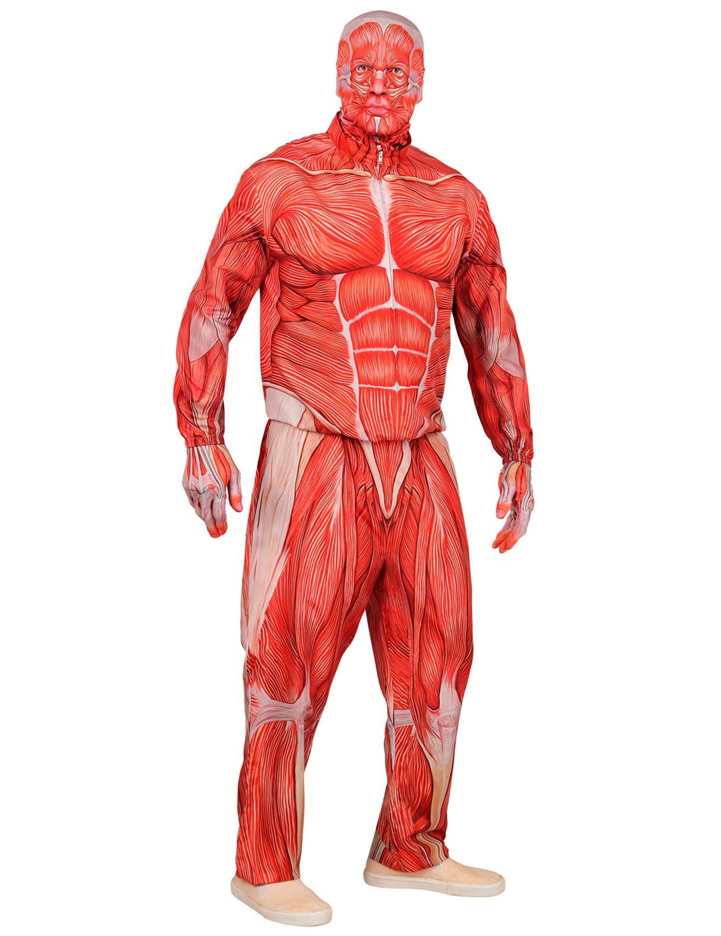 Teljes testű anatómiai felnőtt emberi jelmez