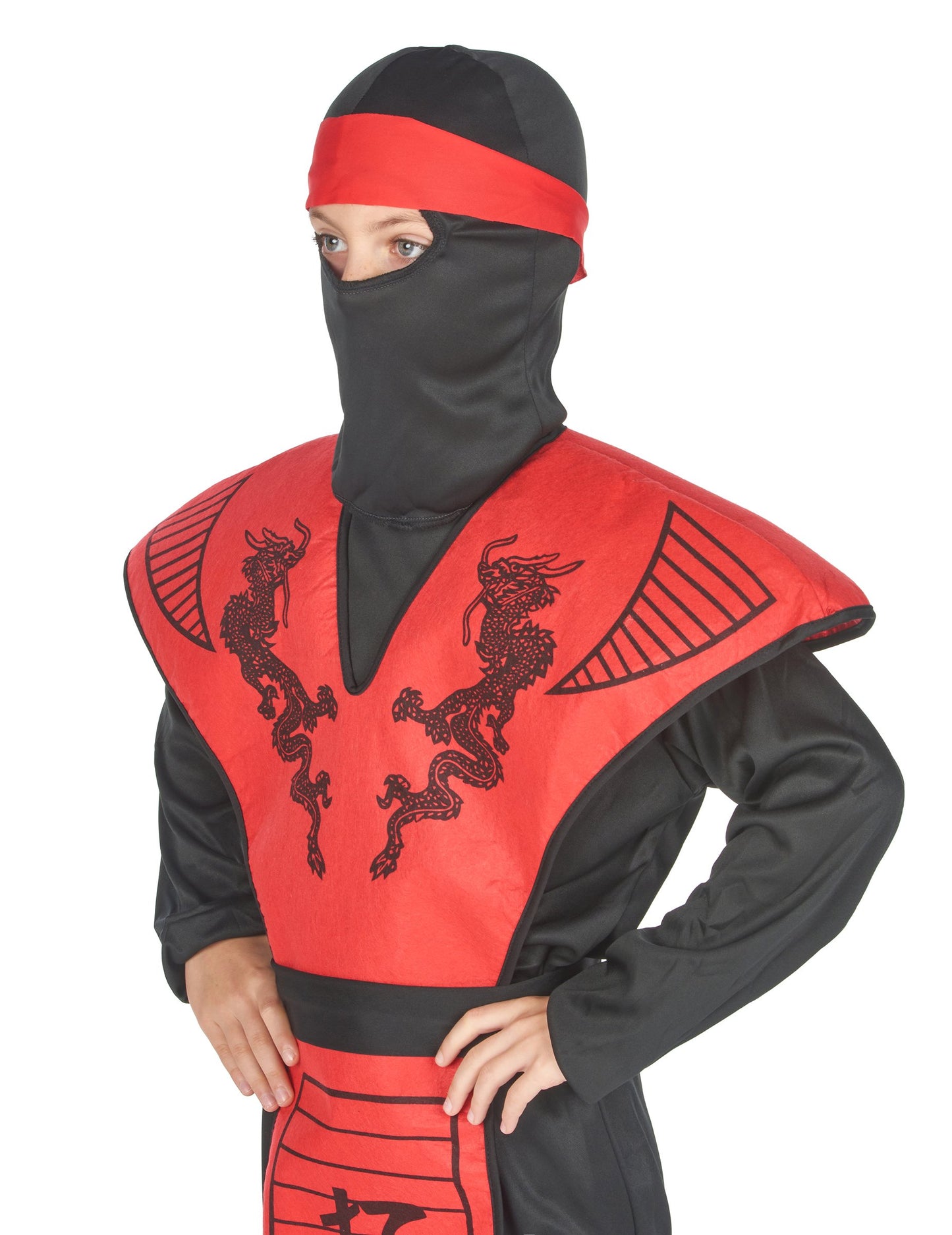 Ninja sárkány fiú sárkány jelmez