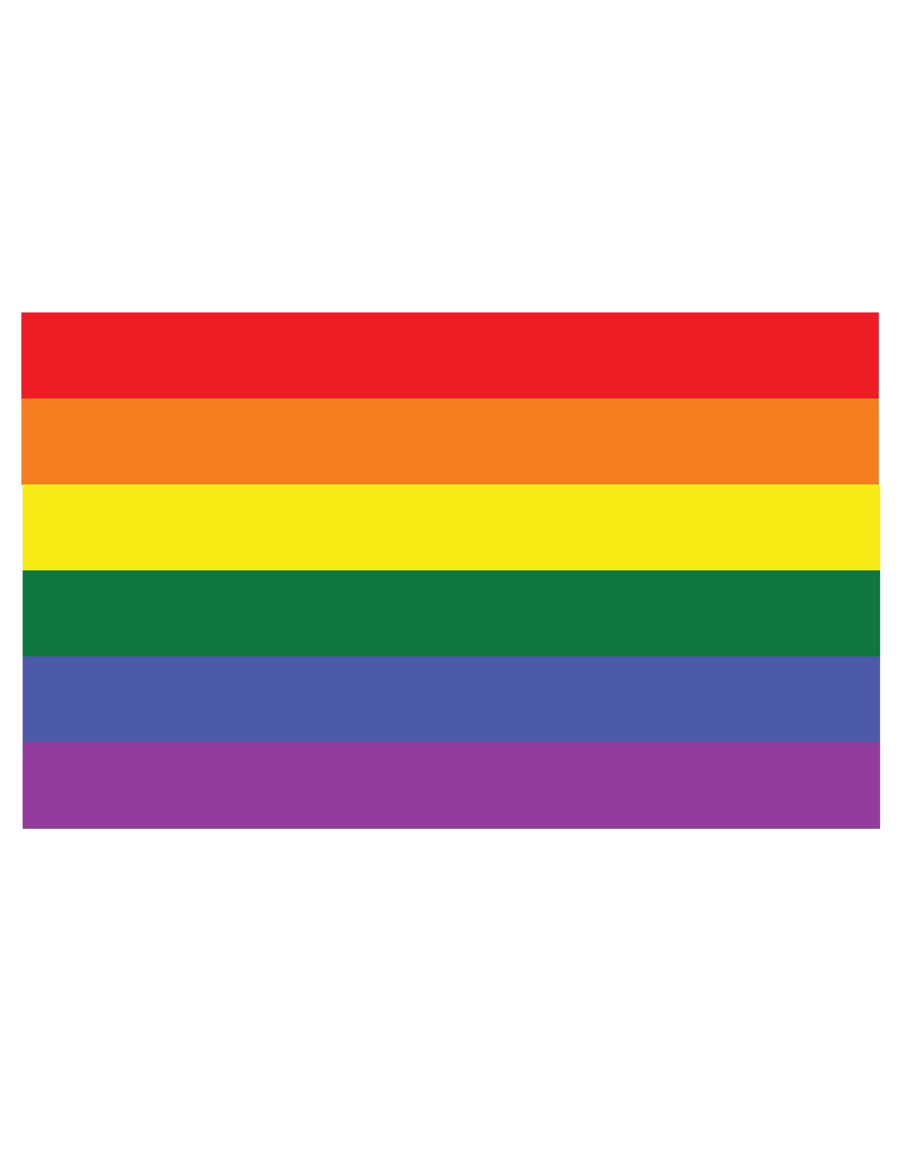 Drapeau arc en ciel pour fête multicolore