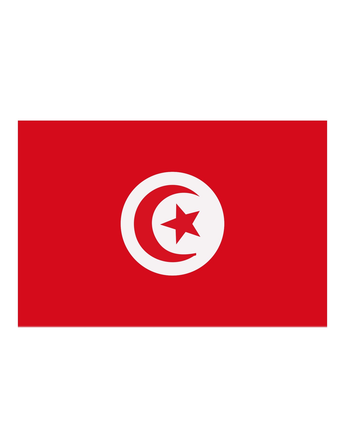 Türkiye támogató zászló 90 x 150 cm