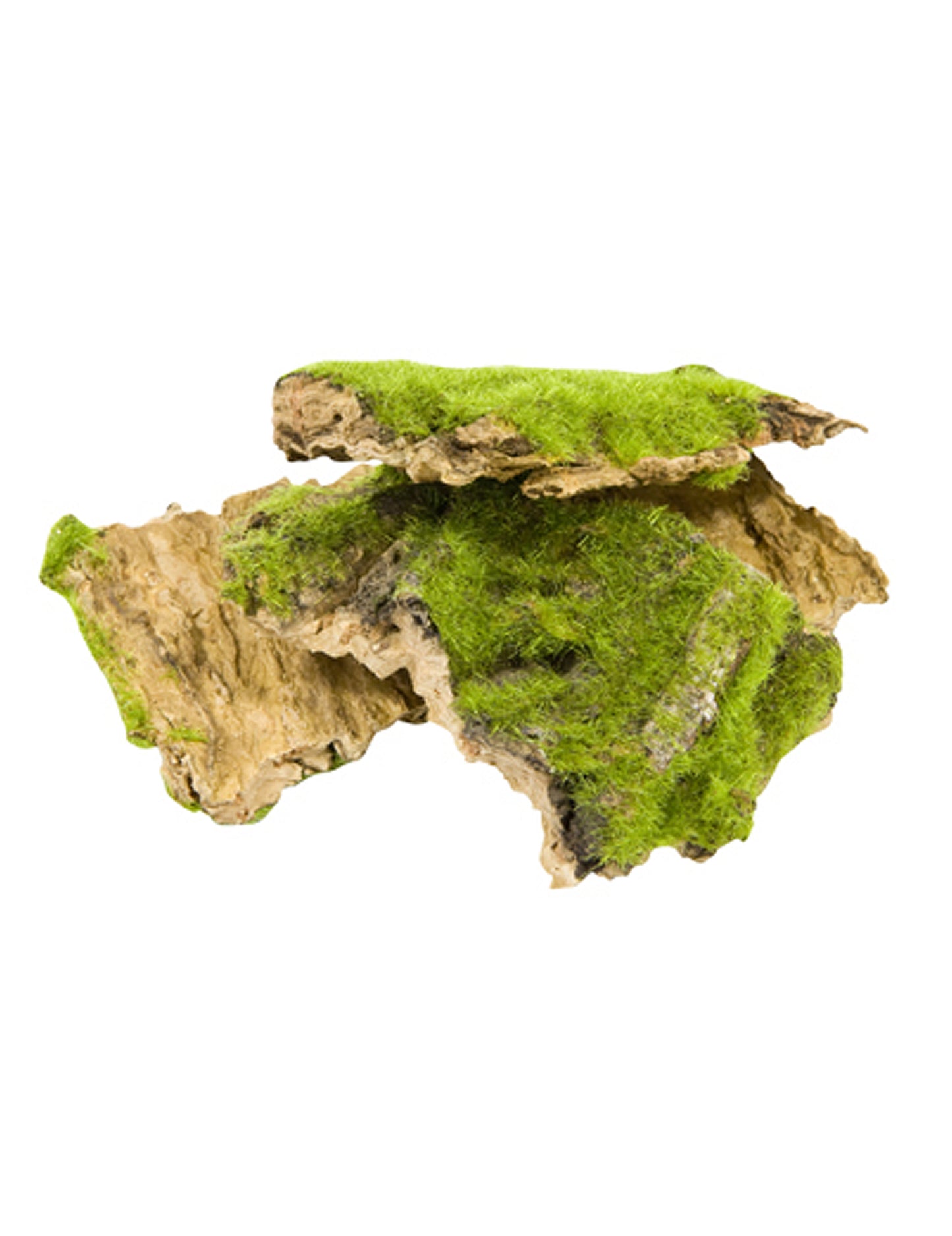 Kéreg és műmoha 50g rusztikus dekoráció