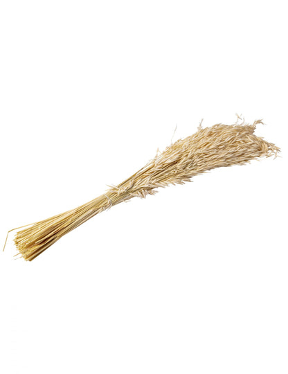 Természetes szárított zabcső 100g 73 cm vidéki hangulat