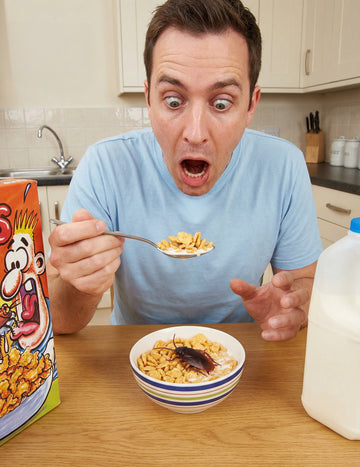 Mű csótány – tréfák és party kellékek 