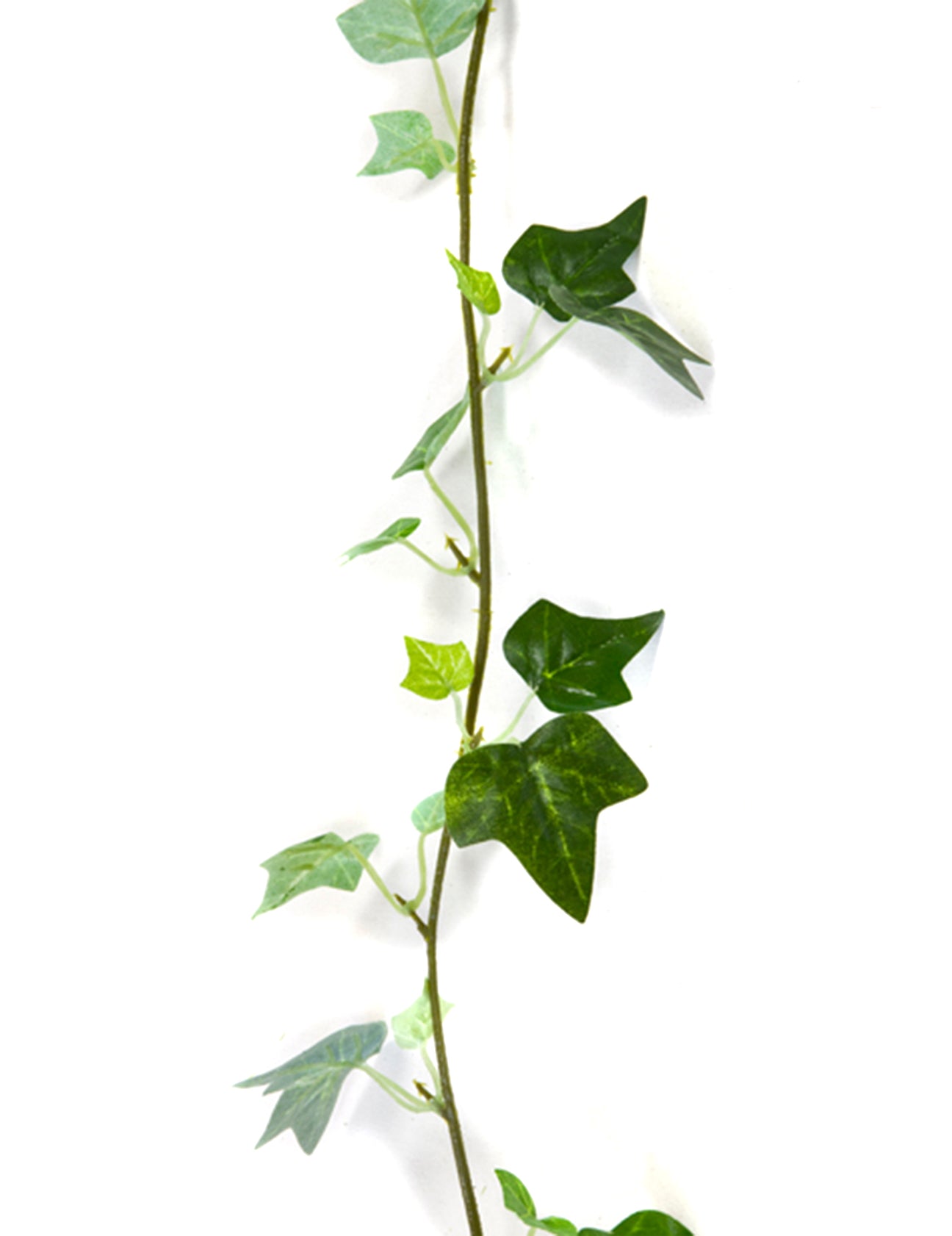 Guirlande de lierre artificielle mariage pour décoration verte