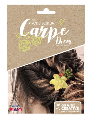 Kit bijoux porte-bonheur broches à cheveux succulentes en fimo pour femme vert et terracotta